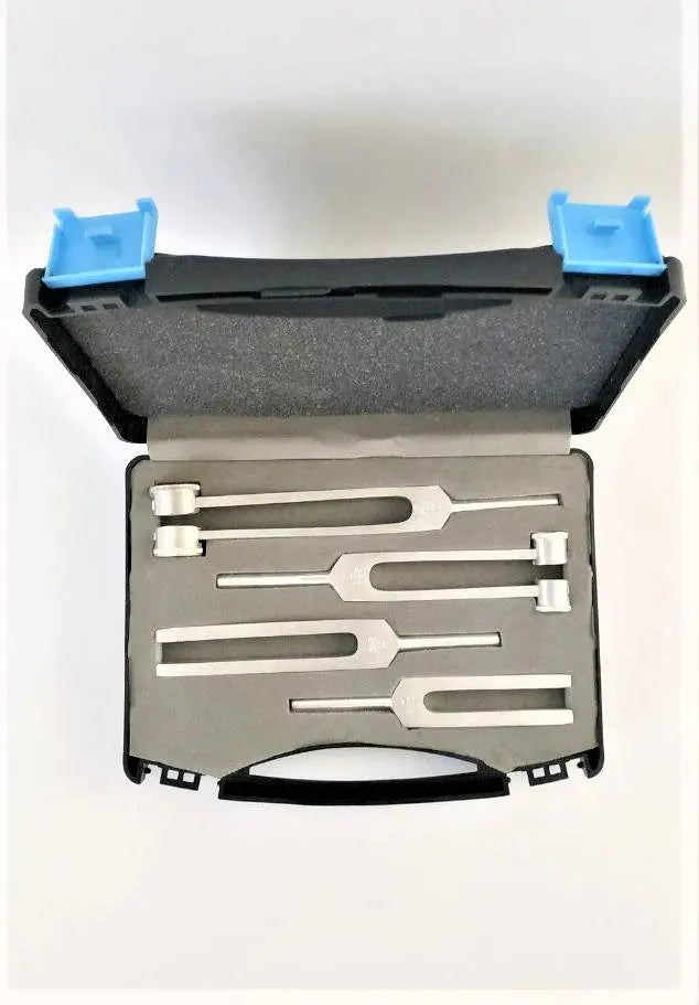 Diapozon (diyapozon) Set 4 Lü Lento Medikal